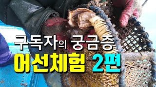구독자와 함께 어부의일상이 궁금한 어선체험현장 2편