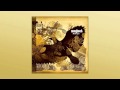 Magnet - The Pacemaker 