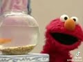 Elmo World Theme Song