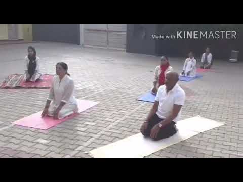 International Yoga Day 2020-2021