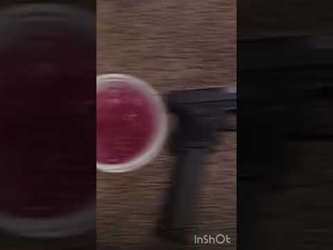 SgekaixSgeDesxBfhMarr🧟