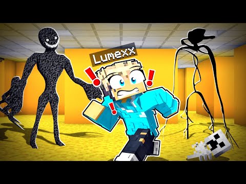 In den BACKROOMS gefangen!!! ICH MUSS ENTKOMMEN - Minecraft mit LumeXx
