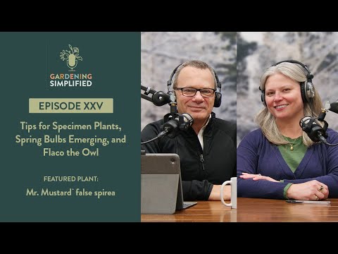 Tips for Specimen Plants, Spring Bulbs Emerging, and Flaco the Owl | Gardening Simplified Show 25