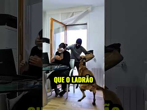 This Dog is the Best Trained in the World 😍🐶