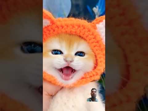 Bilal video tiktok# viral