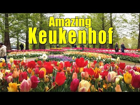 KEUKENHOF, HOLLAND - 2022  | THE MOST BEAUTIFUL SPRING GARDEN IN THE WORLD ! | TULIP GARDEN  4K