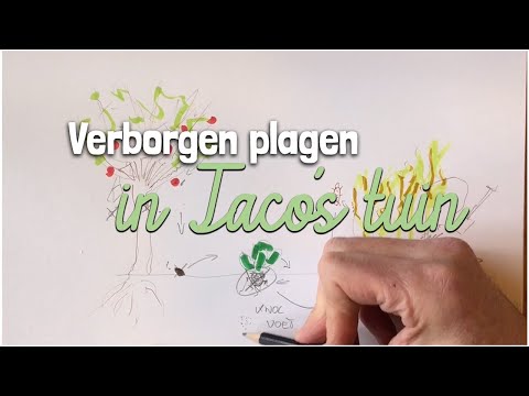 Urban Gardening - Three Pests in the Vegetable Garden