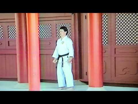 1993年、大恩人・ケン・タラックKen・Tallack 先生Sensei『三十六〓サンセール』カナダ明徳派剛柔流代表、沖縄在住時代の演武(琉球の風スタジオパーク、山口正舟撮影)