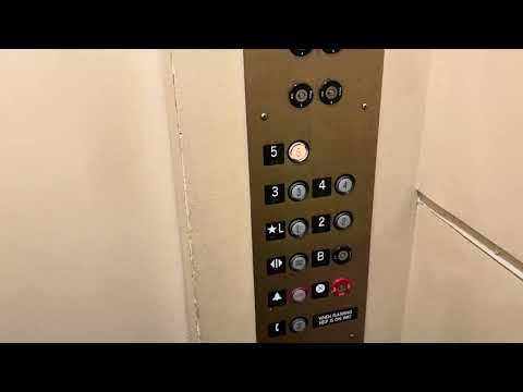 Beautiful OTIS Traction Swing-Door Elevator | The Studio Building | Berkeley, CA