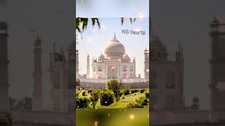 Tauba Tauba Bgm🎧🎶🎼❤️ #shorts #trending #ytshorts #ashortaday