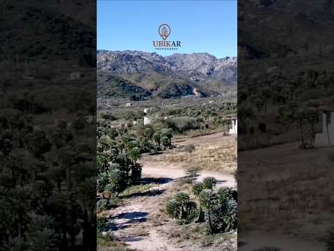 Loteo en Papagayos | San Luis | Argentina