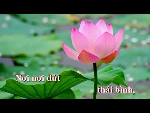 Thể hiện bởi Hiền Tịnh