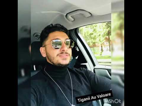 toni de la brasov -  mandria tiganilor 2021