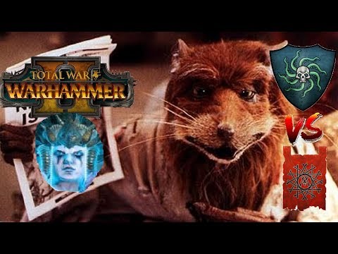 Vampire Coast vs Skaven | UNTIL THE GHOST LADY SINGS - Total War Warhammer 2