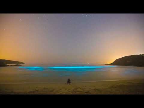 Vídeo: Mar de ardora na paisaxe