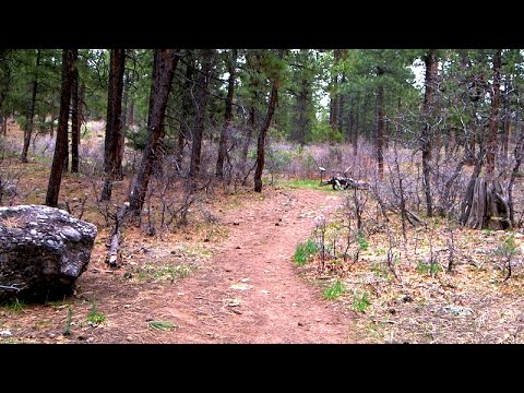 Old Toll Road Makes National Register