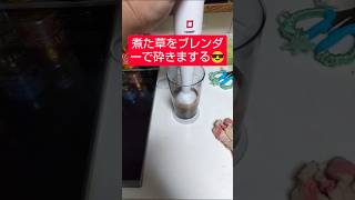 【農学修士地獄#健康飲食 】#蔓万年草 を収穫し、乾燥#ミント と煮出し、ピーマン、唐辛子も入れて、ブレンダーで砕く#貧乏生活 #貧乏飯 #独身中年 。