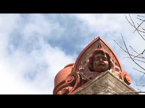 PANORÂMICA #16: EBA:  Professores realizadores | Teaser