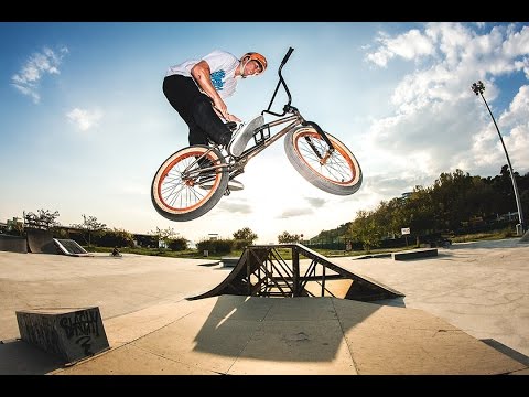 Owned by the switch whip