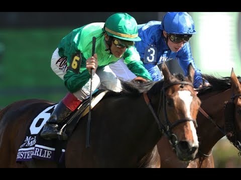 Breeders' Cup Maker's Mark Filly & Mare Turf (G1) 2018 -  Sistercharlie