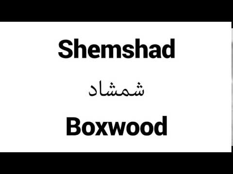 How to Pronounce Shemshad! - Middle Eastern Names