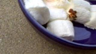 Ghost marshmallow man