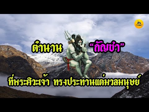 จากสิ่งที่สามารถเป็นแรงในผู้ชาย ว่าการที่จะเพิ่มสมาชิก