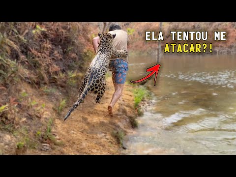 TENTEI ENSINAR UMA ONÇA-PINTADA NADAR E OLHA NO QUE DEU!! | TIAGO JÁCOMO
