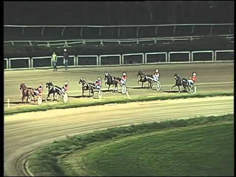 Trotto 13/03/2016 - Minitrotter