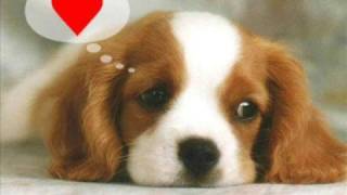 ALMAS GEMELAS - EL TRONO DE MEXICO (CLIP ORIG)