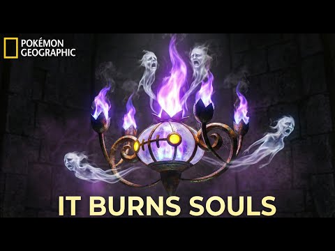 Real Life Pokémon - NatGeo: Chandelure | How It Digests Consciousness