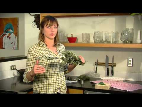 Noções básicas de ervas: secando e preservando ervas