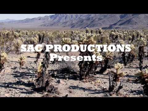 American Dreamz Trailer