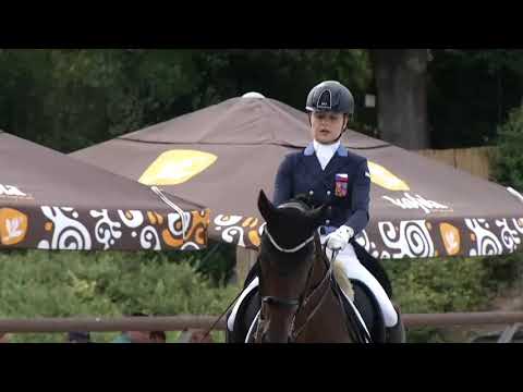 Starší junioři – Sobotní soutěže při mistrovství ČR 2019 v drezuře Královice u Slaného