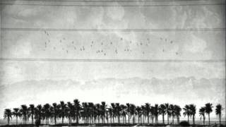 The Envy Corps - Prisoner of war