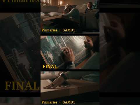 GAMUT LUTs are 25% off storewide til midnight! Link in bio👍🏼 #gamut #cinematicvideo #lumixs5ii