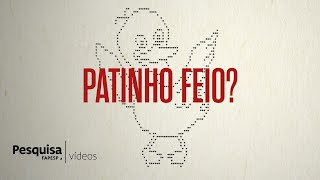 Miniatura do vídeo