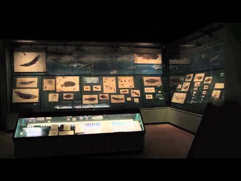 Science at FMNH -- Wyoming 52 million years ago