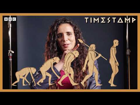 The Most Misunderstood Thing About Human Evolution | Human | BBC Timestamp
