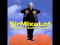 Sir Mix Alot Baby Got Back Lyrics