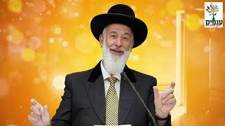 לכבוד הילולת הבן איש חי! הרב יונה מצגר עם חידוש אדיר לפרשת השבוע כי תבוא!