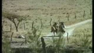 Antonio AguilarBuque de mas Potencia