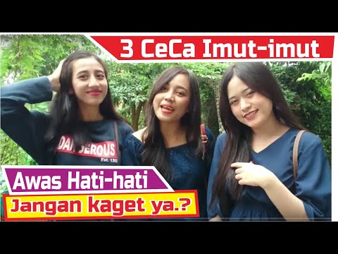 bushman-prank-di-taman-bunga-the-forest-island-prank-manusia-pohon