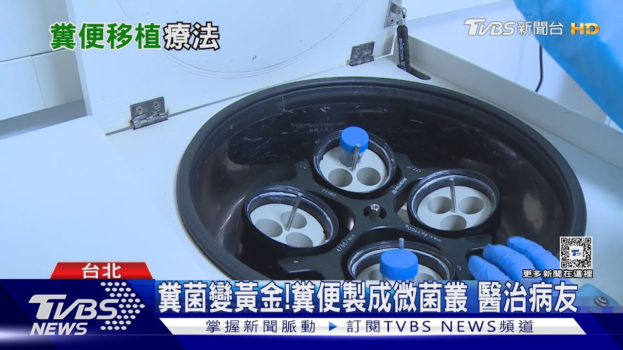 你的「糞便微菌叢」植入受贈者腸道 殲滅「這桿菌」改變腸道菌叢獲新生!