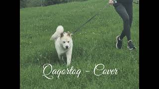 Qaqortoq - Raubtier Cover