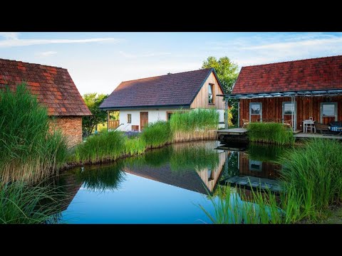 Ferienhaus mit privaten Schwimmteich und Sauna, Oed bei Gleisdorf, Austria