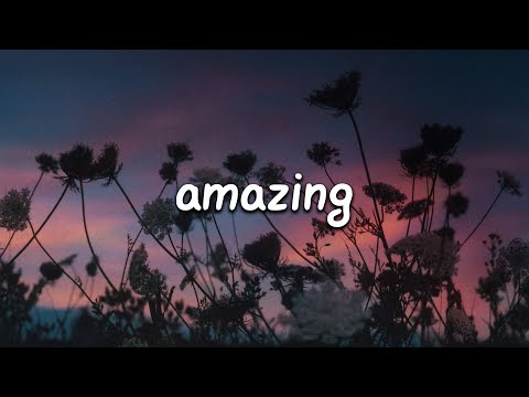 LEOWI & Harley Bird - AMAZING (Lyrics)