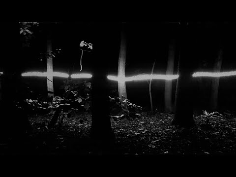 Black Flower - Ray (videoclip)