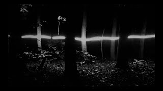 Black Flower - Ray (videoclip)