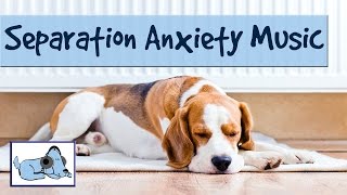 Dog Music to Help your Dog with Separation Anxiety - Behavioural Problems